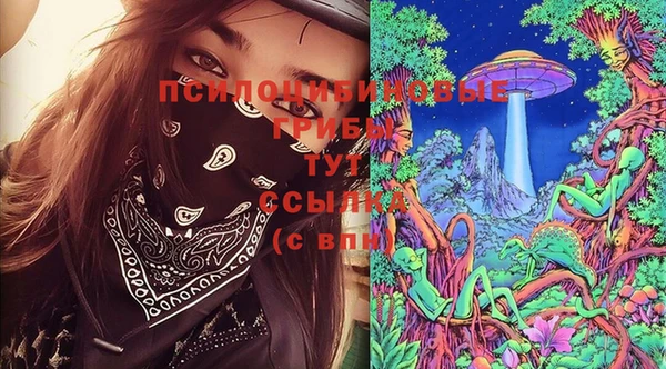 МДМА Белокуриха