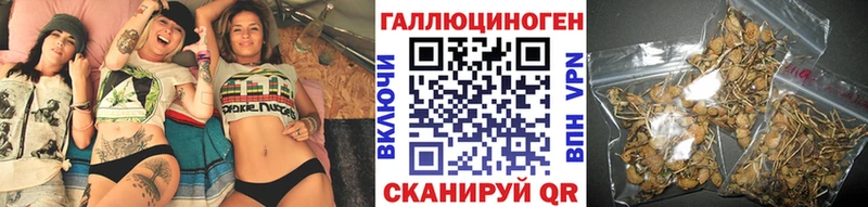 хочу Кущёвская Галлюциногенные грибы GOLDEN TEACHER